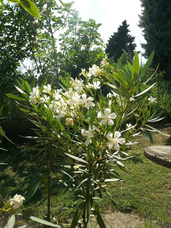Basisa Bed&Breakfast San Lazzaro di Savena Dış mekan fotoğraf