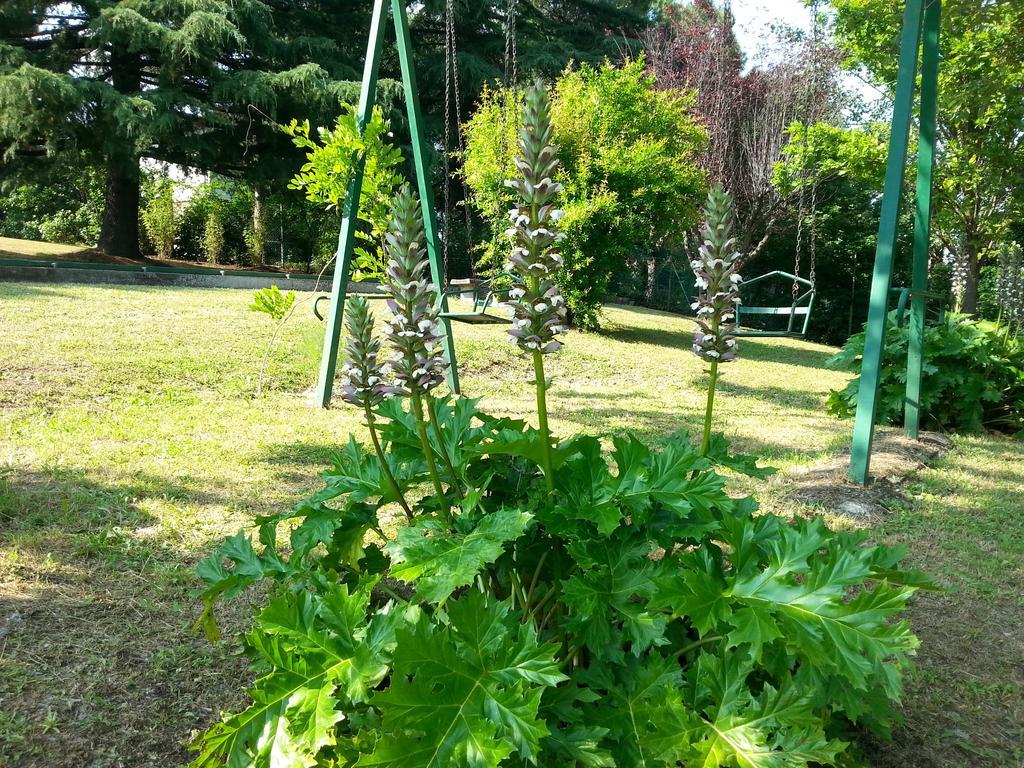 Basisa Bed&Breakfast San Lazzaro di Savena Dış mekan fotoğraf